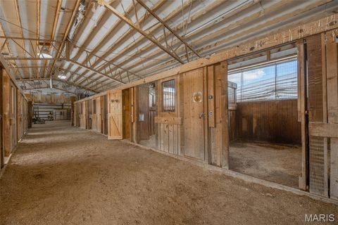 Tiny photo for 300 Highway RA (20.99+/- Acres), Silex, MO 63377 (MLS # 25067979)