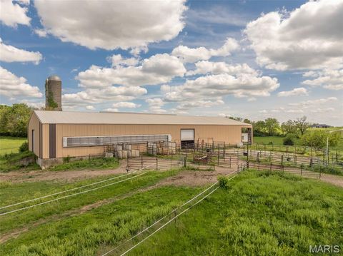 Tiny photo for 300 Highway RA (20.99+/- Acres), Silex, MO 63377 (MLS # 25067979)