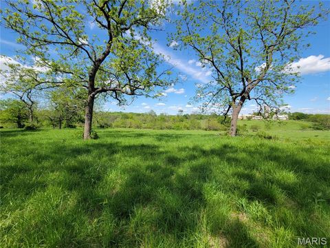 Tiny photo for 300 Highway RA (20.99+/- Acres), Silex, MO 63377 (MLS # 25067979)