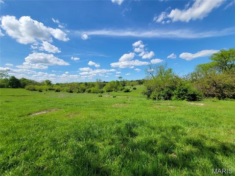 Tiny photo for 300 Highway RA (20.99+/- Acres), Silex, MO 63377 (MLS # 25067979)