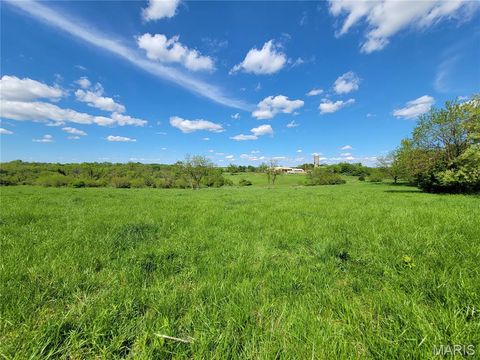 Tiny photo for 300 Highway RA (20.99+/- Acres), Silex, MO 63377 (MLS # 25067979)