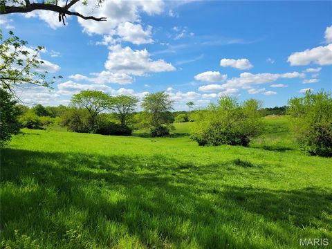 Tiny photo for 300 Highway RA (20.99+/- Acres), Silex, MO 63377 (MLS # 25067979)