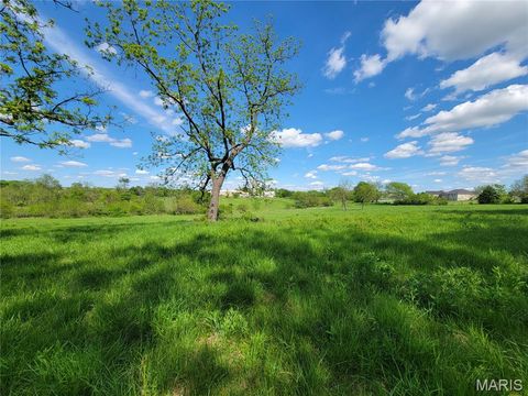 Tiny photo for 300 Highway RA (20.99+/- Acres), Silex, MO 63377 (MLS # 25067979)
