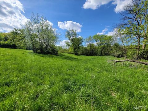 Tiny photo for 300 Highway RA (20.99+/- Acres), Silex, MO 63377 (MLS # 25067979)
