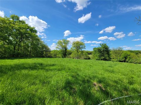 Tiny photo for 300 Highway RA (20.99+/- Acres), Silex, MO 63377 (MLS # 25067979)