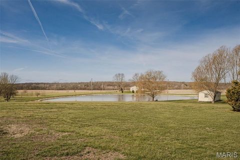 Tiny photo for 12 Riverside Court, Troy, MO 63379 (MLS # 26010608)