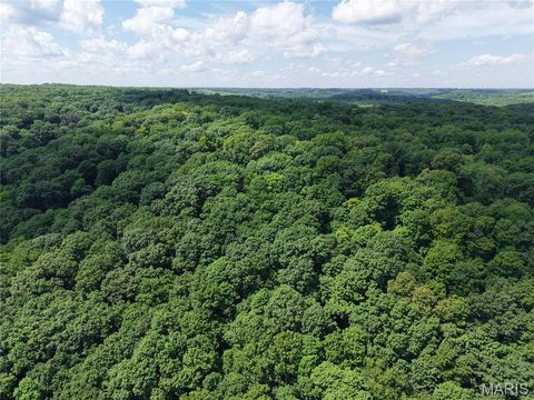 Tiny photo for 24 Monkey Run ST, Hannibal, MO 63401 (MLS # 26028724)