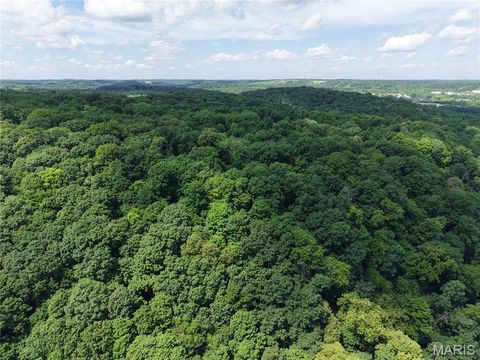 Tiny photo for 24 Monkey Run ST, Hannibal, MO 63401 (MLS # 26028724)