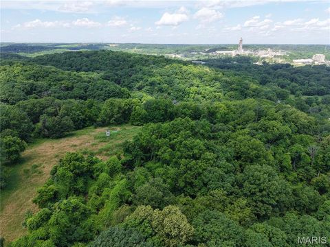 Tiny photo for 24 Monkey Run ST, Hannibal, MO 63401 (MLS # 26028724)