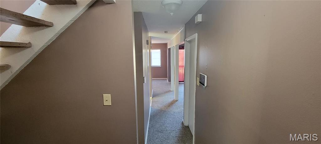 Paddock Lake Condo - Residential