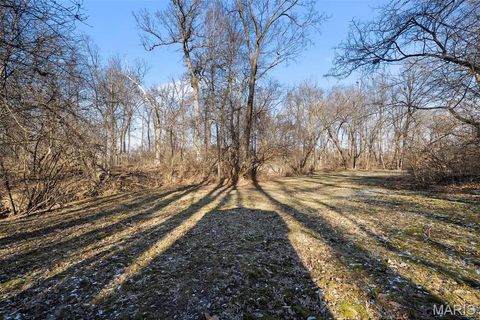 Tiny photo for 840 Angleterre Drive, Creve Coeur, MO 63141 (MLS # 25082394)