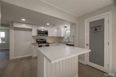 Tiny photo for 24 Liberty Hollow Lane, Troy, MO 63379 (MLS # 25067452)