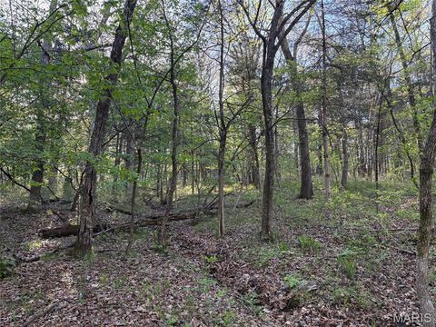 Tiny photo for 19 County Rd. 810, Linn, MO 65051 (MLS # 26024202)