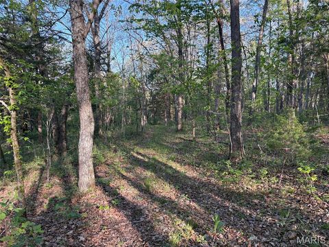 Tiny photo for 19 County Rd. 810, Linn, MO 65051 (MLS # 26024202)