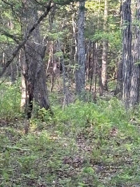 Tiny photo for 19 County Rd. 810, Linn, MO 65051 (MLS # 26024202)