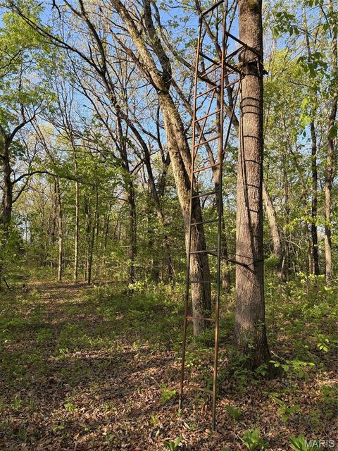 Tiny photo for 19 County Rd. 810, Linn, MO 65051 (MLS # 26024202)