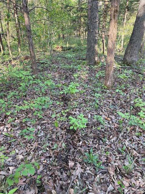 Tiny photo for 19 County Rd. 810, Linn, MO 65051 (MLS # 26024202)