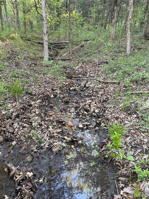 Tiny photo for 19 County Rd. 810, Linn, MO 65051 (MLS # 26024202)