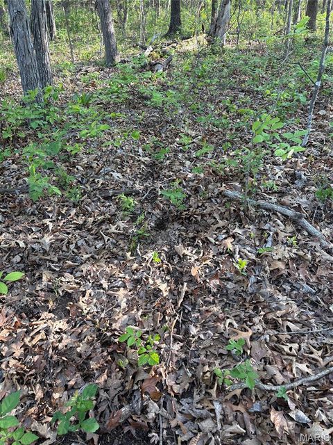 Tiny photo for 19 County Rd. 810, Linn, MO 65051 (MLS # 26024202)