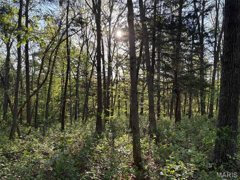 Tiny photo for 19 County Rd. 810, Linn, MO 65051 (MLS # 26024202)
