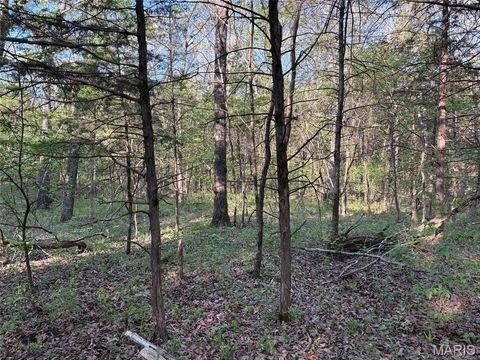 Tiny photo for 19 County Rd. 810, Linn, MO 65051 (MLS # 26024202)