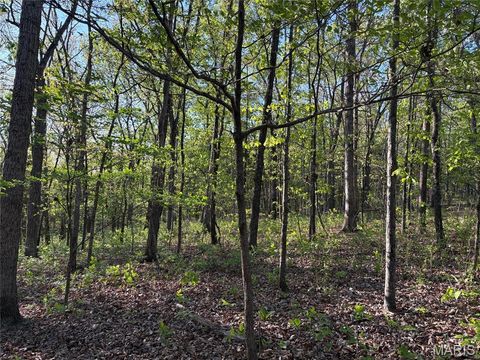 Tiny photo for 19 County Rd. 810, Linn, MO 65051 (MLS # 26024202)