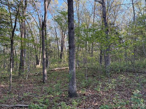 Tiny photo for 19 County Rd. 810, Linn, MO 65051 (MLS # 26024202)