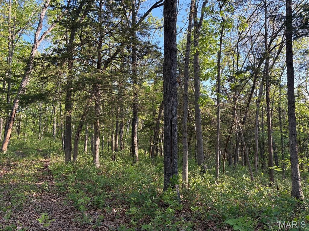 Photo of 19 County Rd. 810, Linn, MO 65051 (MLS # 26024202)