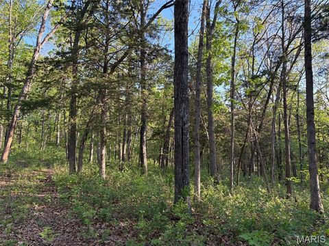 Tiny photo for 19 County Rd. 810, Linn, MO 65051 (MLS # 26024202)