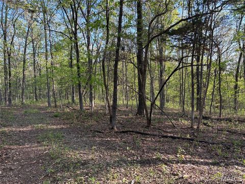 Tiny photo for 19 County Rd. 810, Linn, MO 65051 (MLS # 26024202)