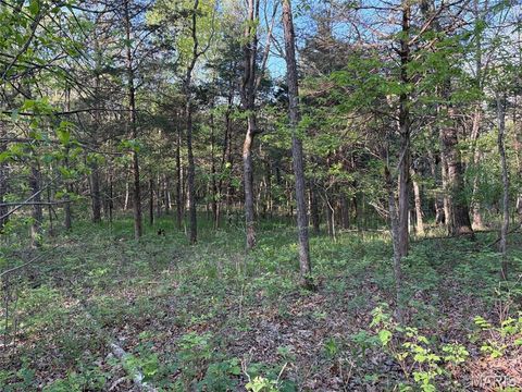 Tiny photo for 19 County Rd. 810, Linn, MO 65051 (MLS # 26024202)