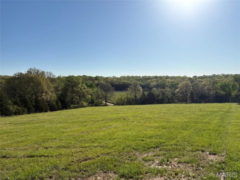 Photo of 19 County Rd. 810, Linn, MO 65051 (MLS # 26024202)
