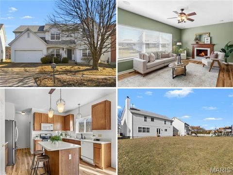 3908 Jost Farm Way Florissant MO 63034