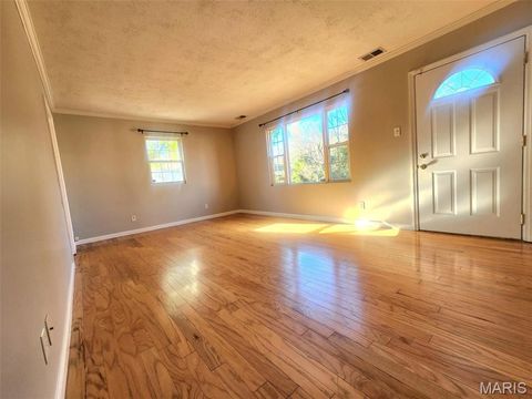 Tiny photo for 930 Brookside Avenue, Webster Groves, MO 63119 (MLS # 25063840)