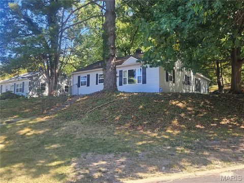 Photo of 930 Brookside Avenue, Webster Groves, MO 63119 (MLS # 25063840)