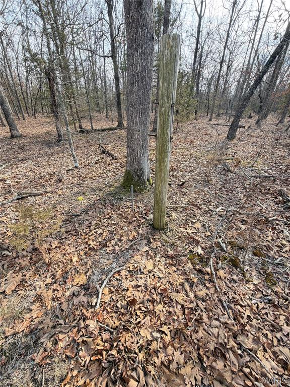 Woodland Estate - Land