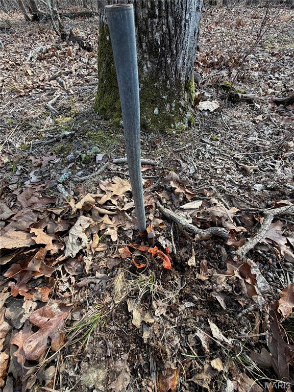 Woodland Estate - Land