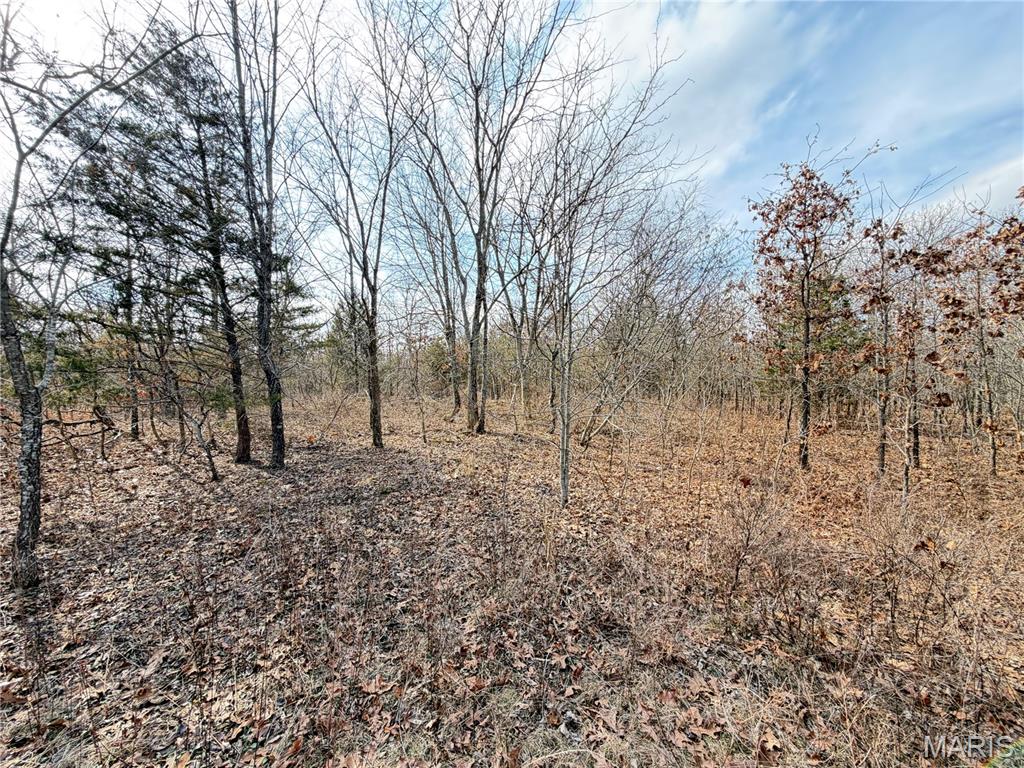 Woodland Estate - Land