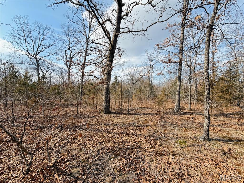 Woodland Estate - Land