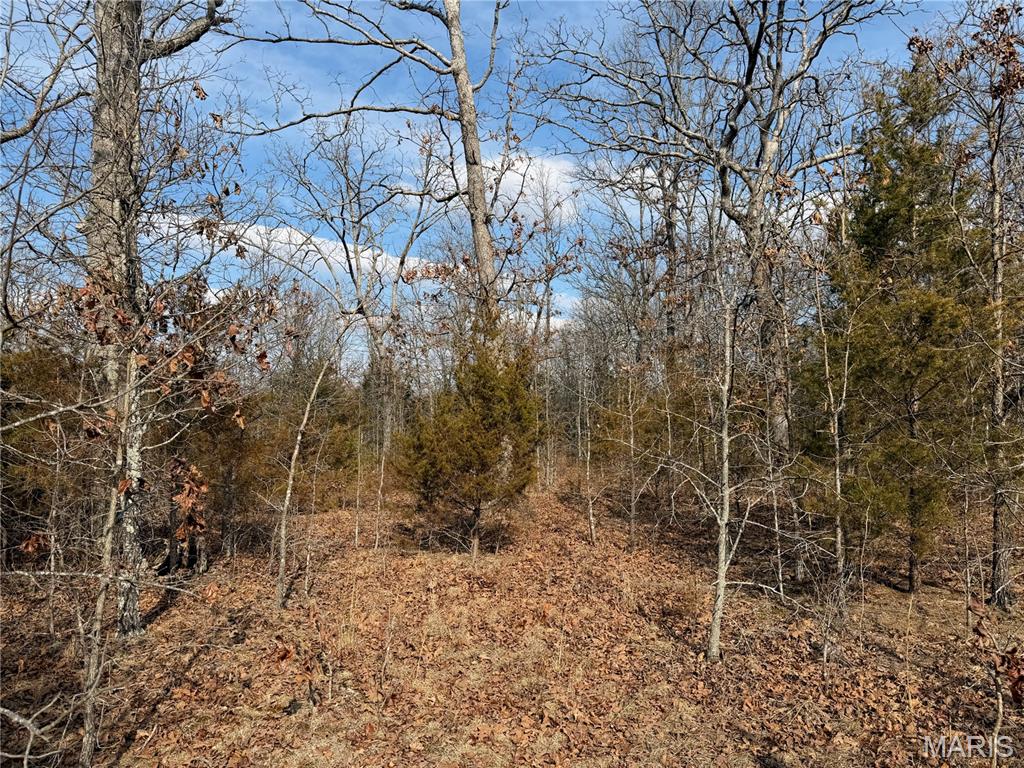 Woodland Estate - Land