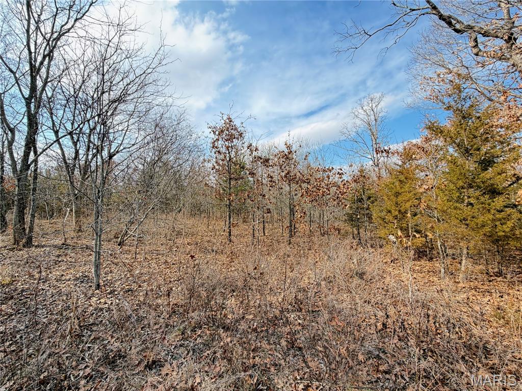 Woodland Estate - Land