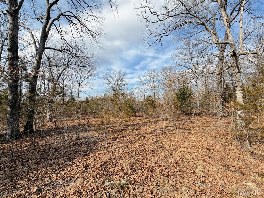 Woodland Estate - Land