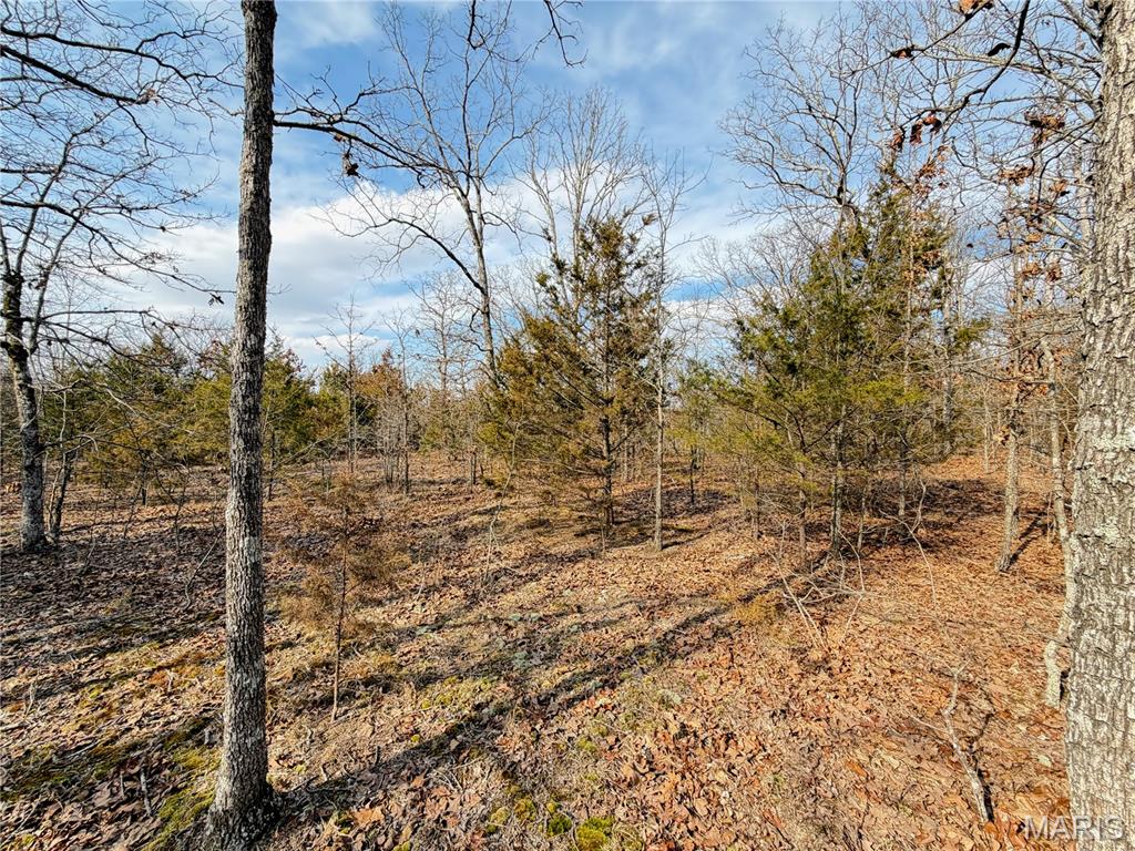 Woodland Estate - Land