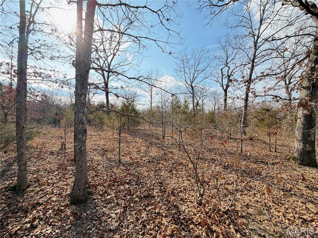 Woodland Estate - Land