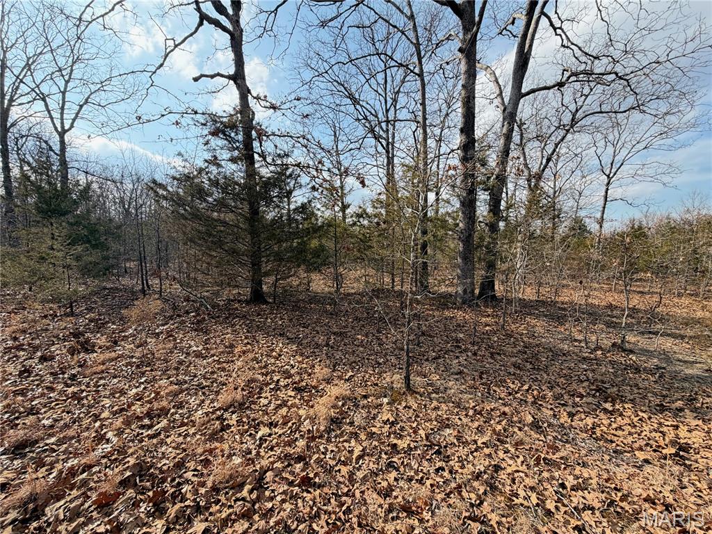 Woodland Estate - Land