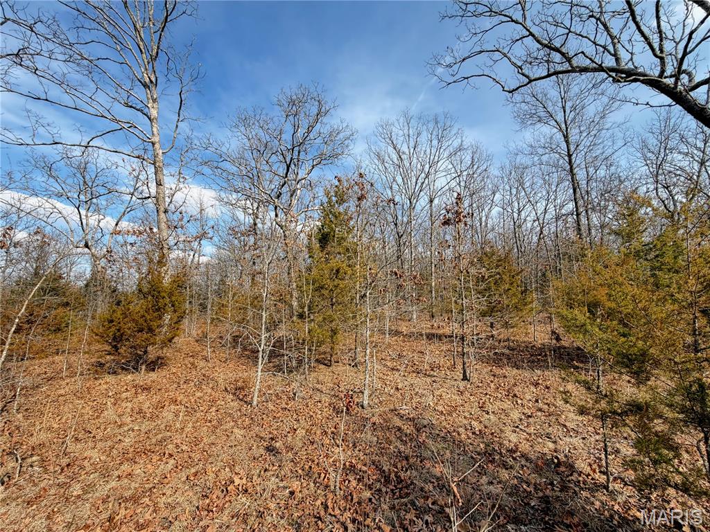 Woodland Estate - Land