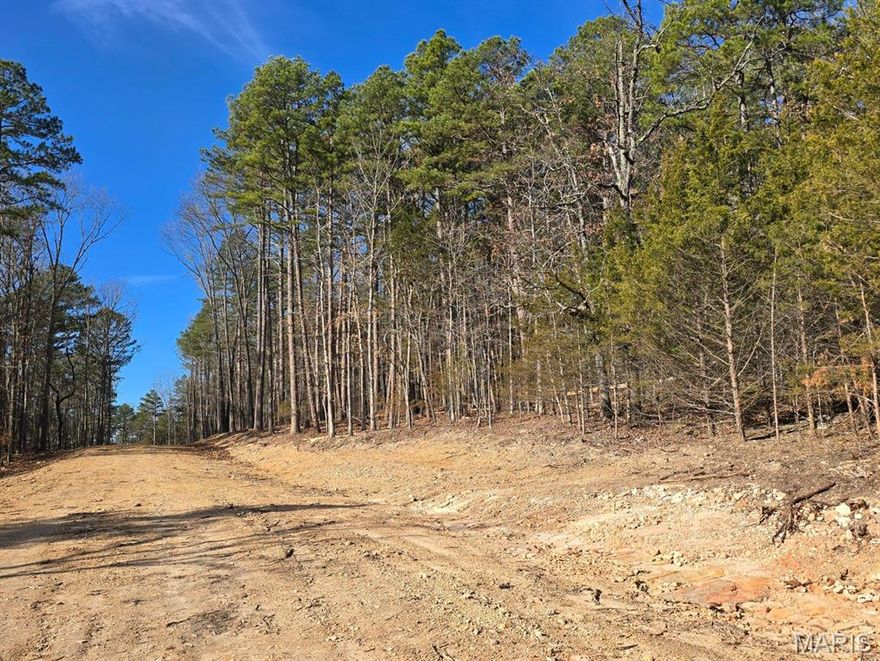 7.5 acres M/L with a Beautiful Wooded lot with many building sites. Mixture of Pine and Oak. Paved road frontage. Just outside the City limits.
