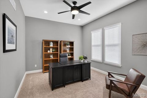 Tiny photo for 17001 Falstone Mill Court, Wildwood, MO 63040 (MLS # 26019978)