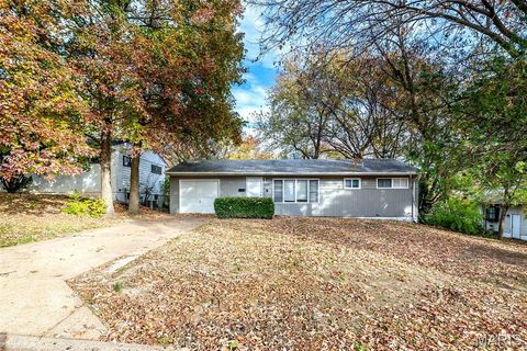 Photo of 1629 Mowbry Lane, St Louis, MO 63136 (MLS # 25080683)