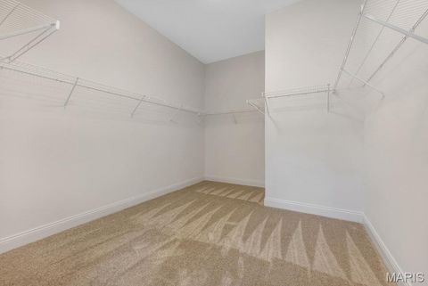 Tiny photo for 310 Red Wing Court, Troy, MO 63379 (MLS # 25034636)